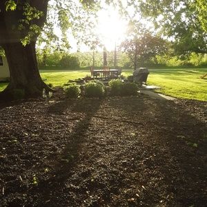 Meet your Posher, Riley